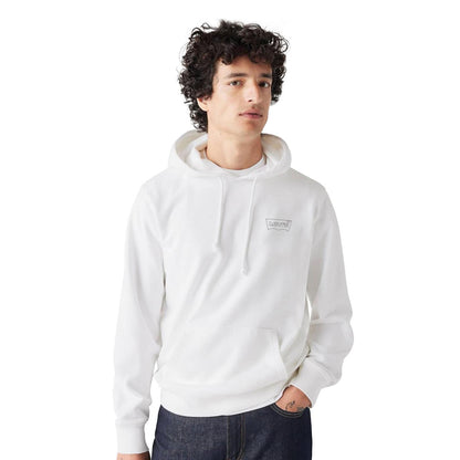 Levis LSE_T2 Relaxed Graphic PO HM Seasonal  - A2639-0037