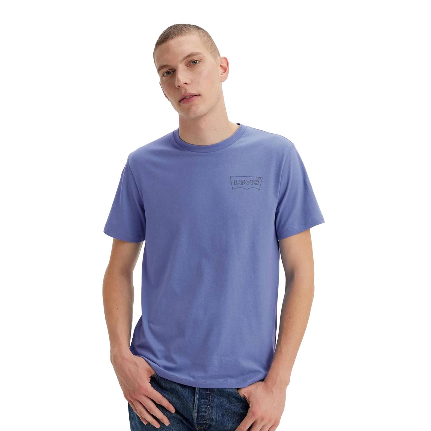 Levis LSE Graphic Crewneck Tee HM Seasonal Fill Bleached  - A2823-0253
