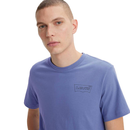 Levis LSE Graphic Crewneck Tee HM Seasonal Fill Bleached  - A2823-0253