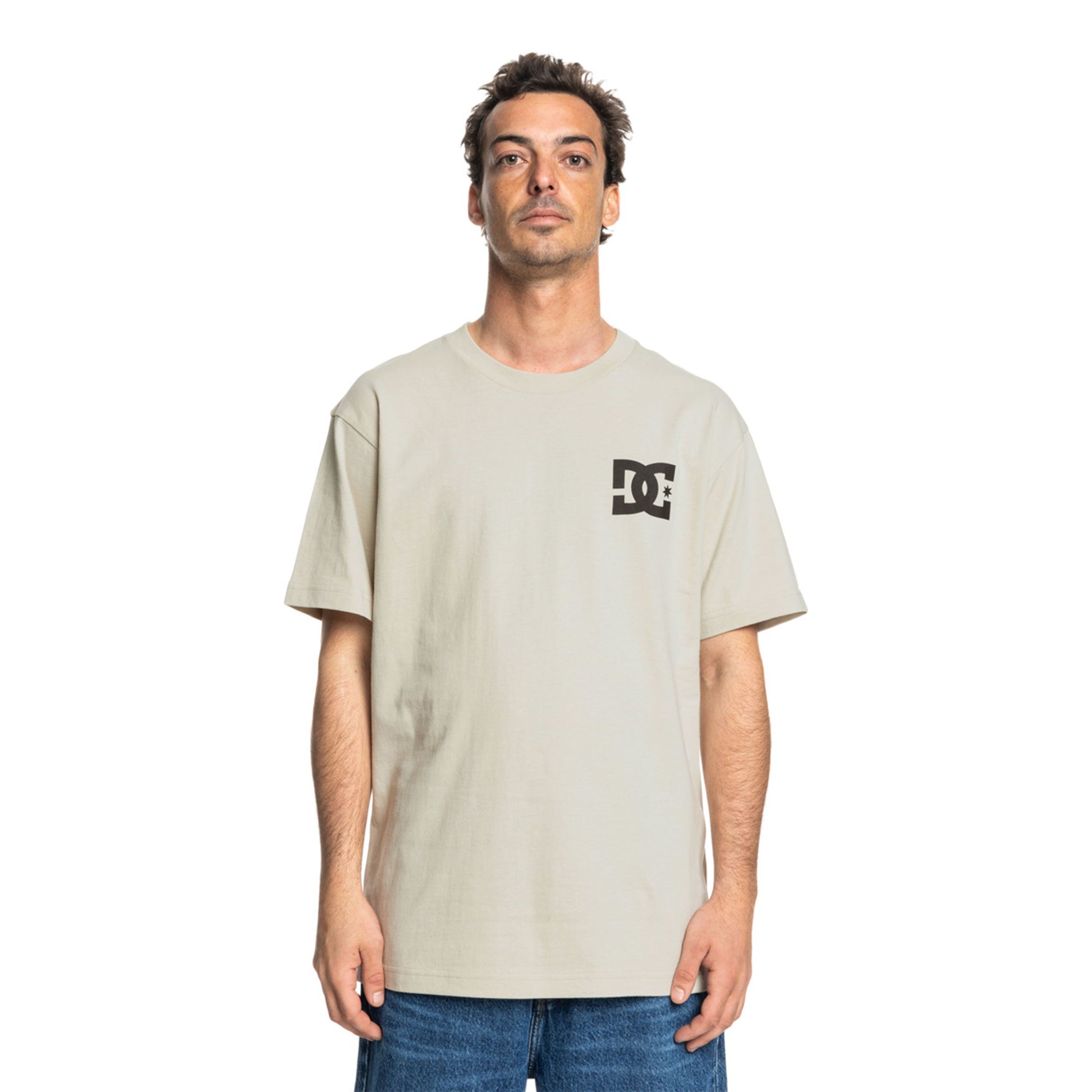DC Shoes The Venue SS Tee Pelican  - ADYZT05455-SGB0
