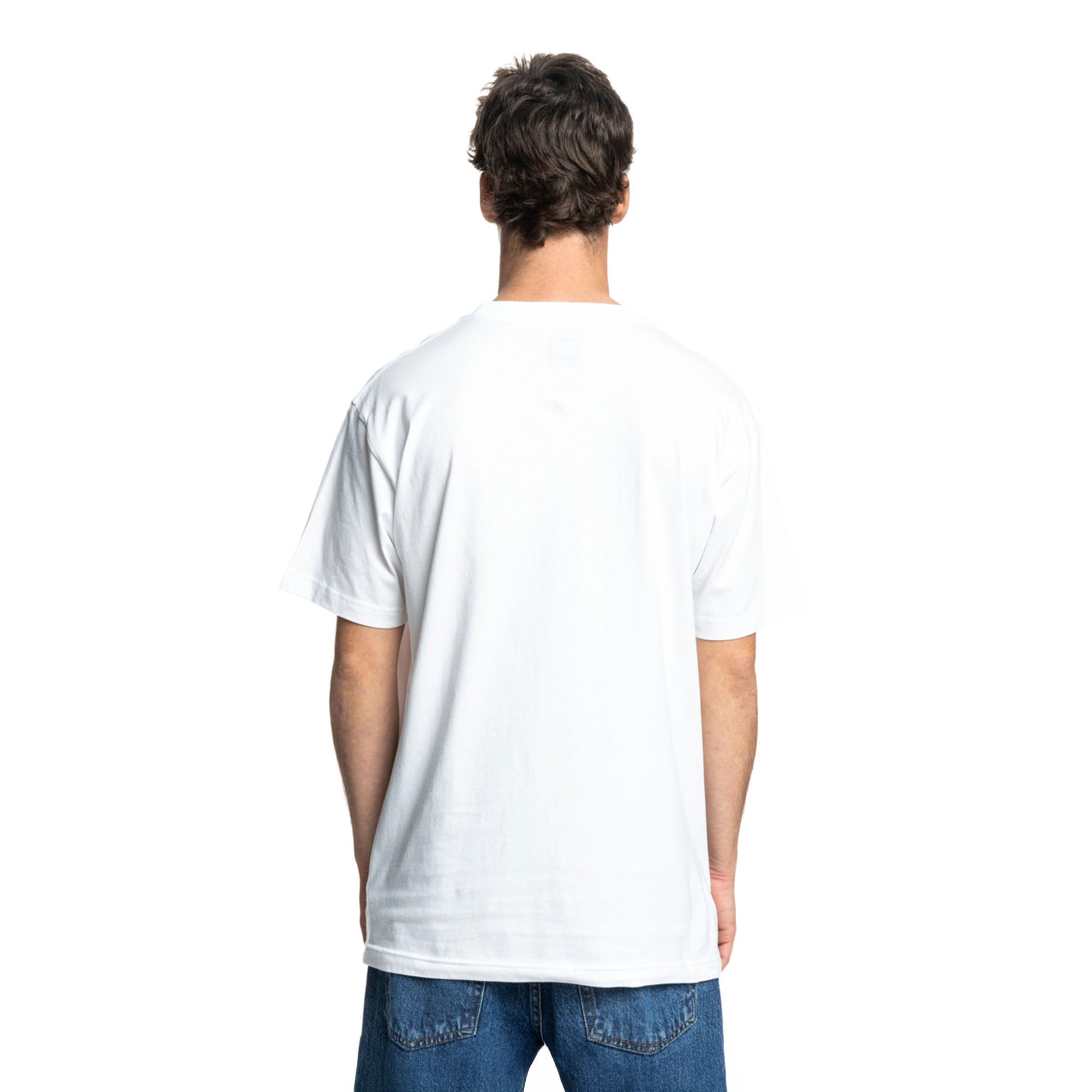 DC Shoes DC Star Skully SS Tee White  - ADYZT05461-WBB0