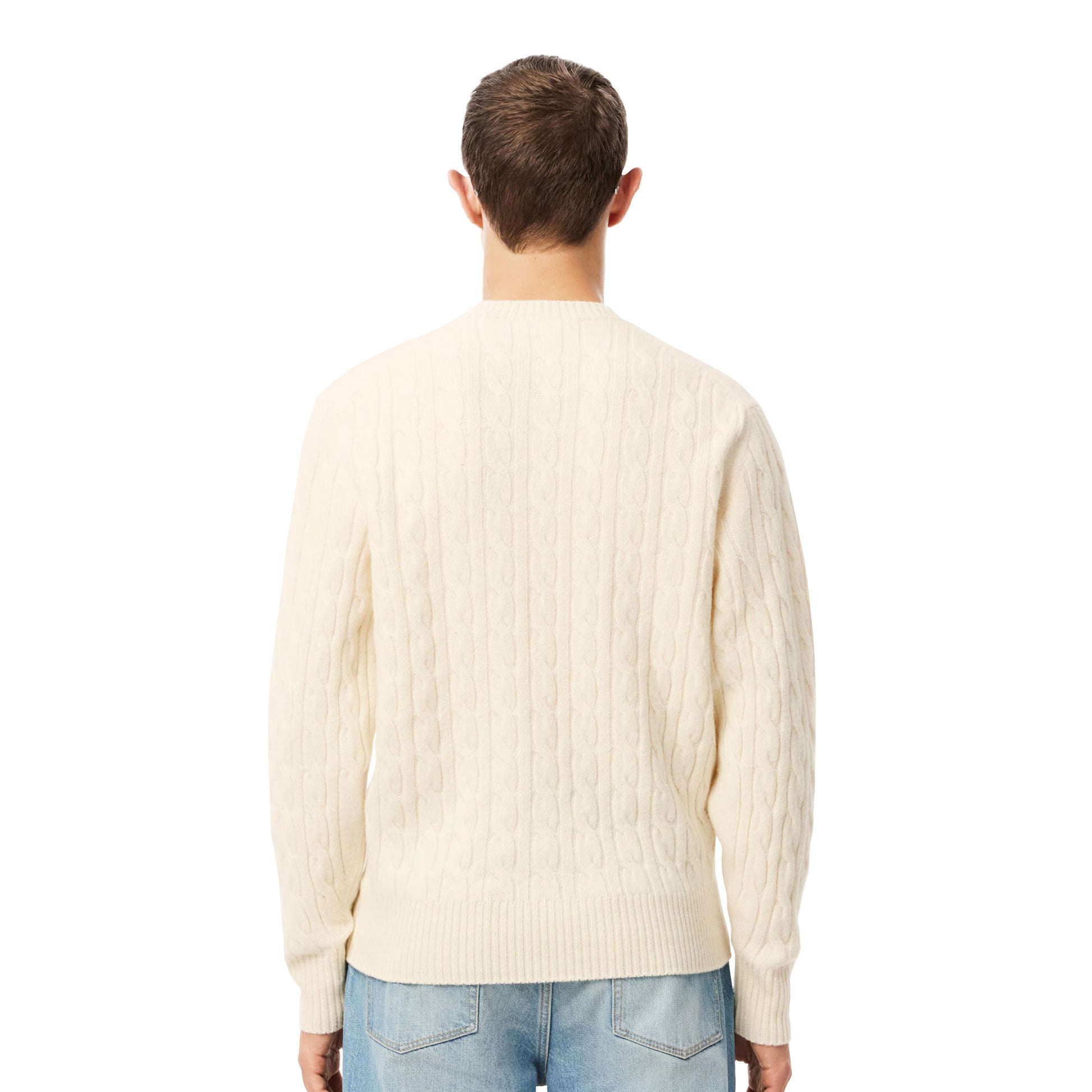 Lacoste Cable Knit Carded Wool Crew Neck Sweater Laponie  - AH2924-XFJ