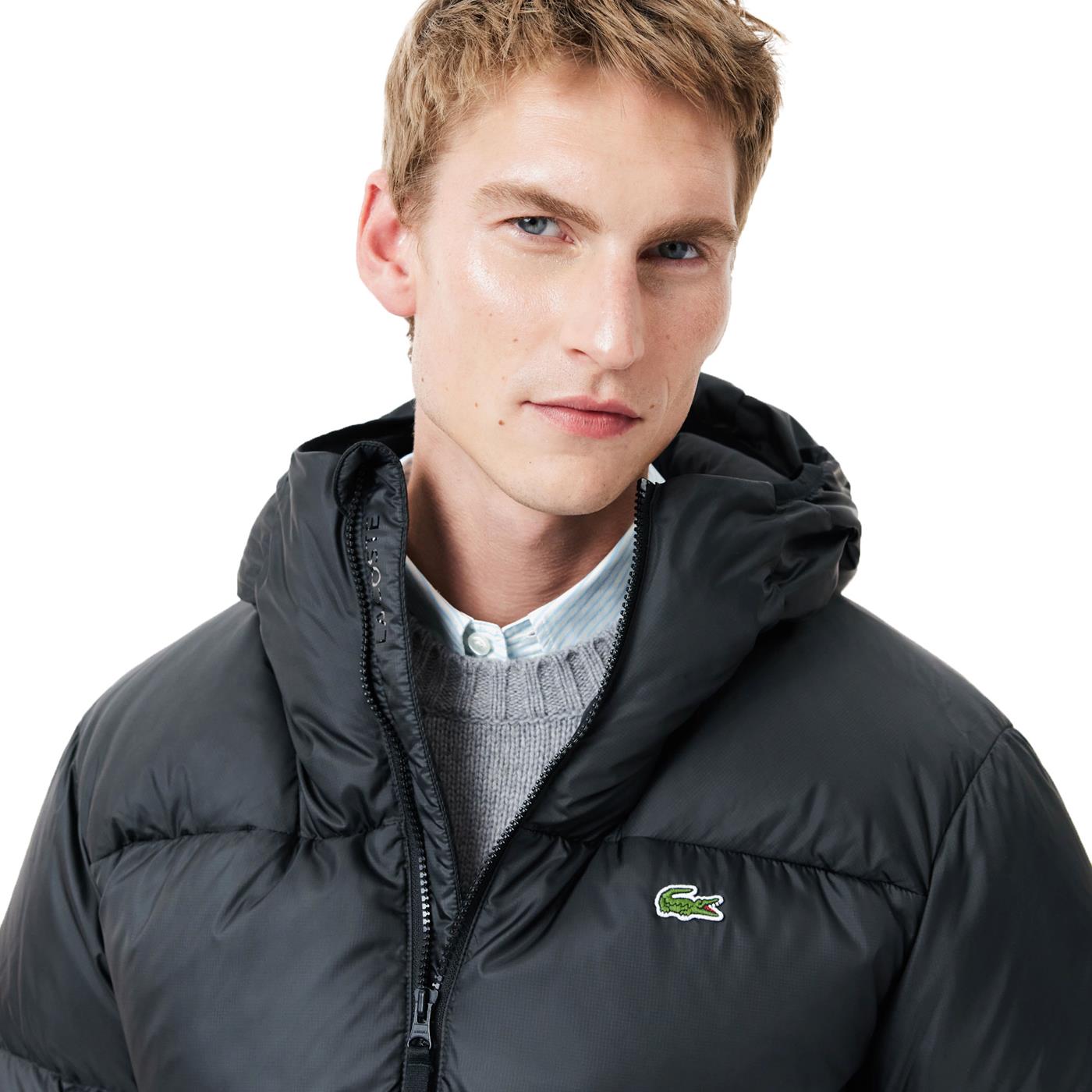 Lacoste Short Water-Repellent Hooded Puffed Jacket  - BH2905-031