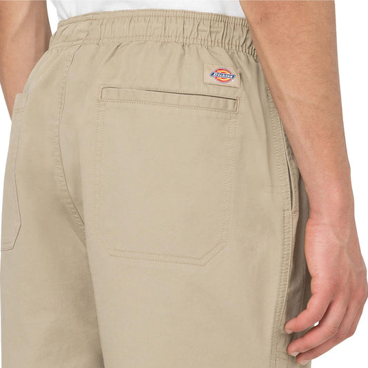 Dickies Pelican Rapids Shorts Desert Sand  - DK0A4XB2DS0