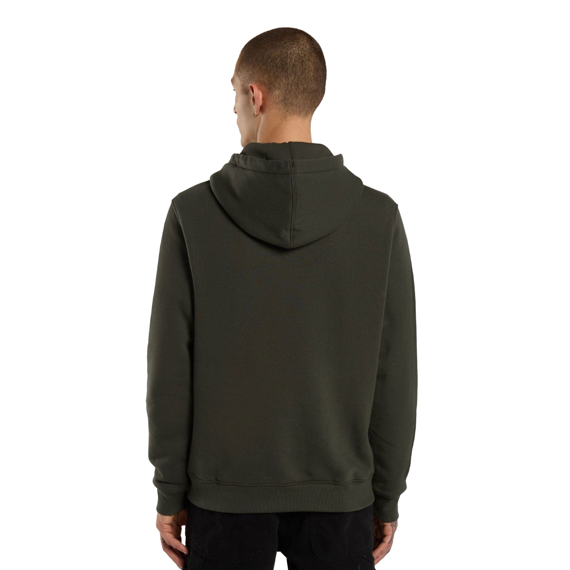 Dickies Oakport Hood Sweat Olive Green  - DK0A4XCDOGX