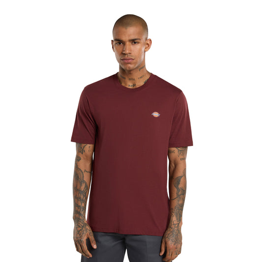 Dickies Mapleton T-Shirt Andorra  - DK0A4XDBL16
