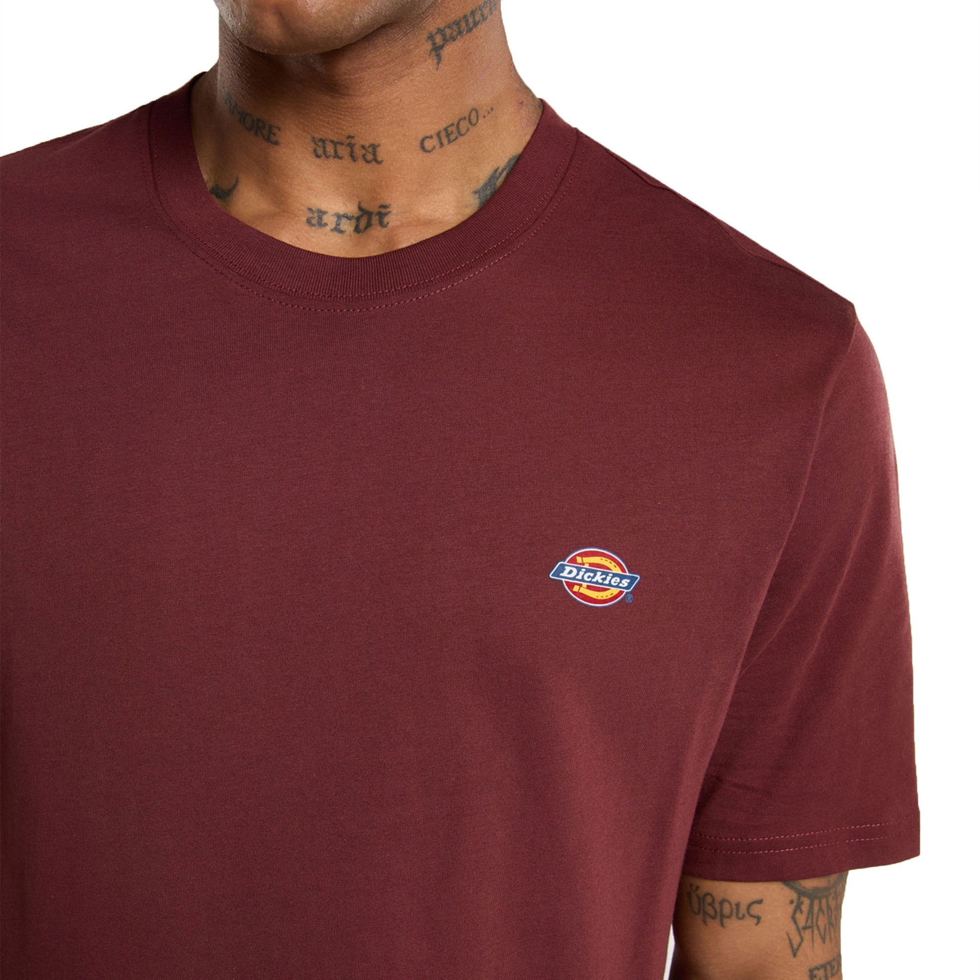 Dickies Mapleton T-Shirt Andorra  - DK0A4XDBL16