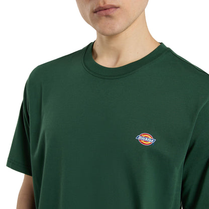 Dickies Mapleton T-Shirt Whitecap Pine Needle Green  - DK0A4XDBPIN