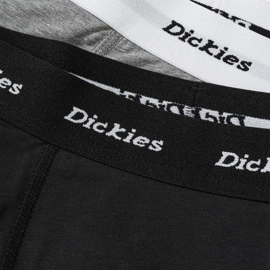 Dickies 2 Pack Trunks Assorted  - DK0A4XOEAST