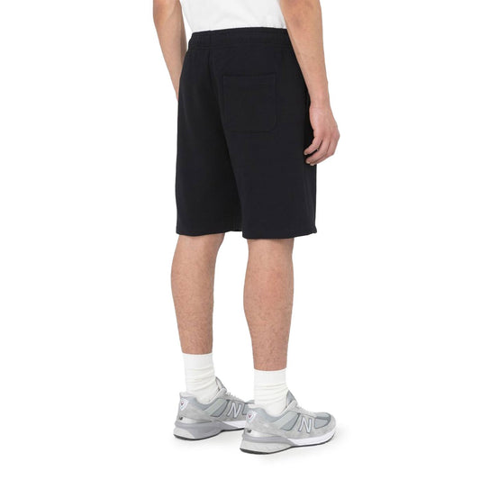 Dickies Mapleton Short Black  - DK0A4Y83BLK