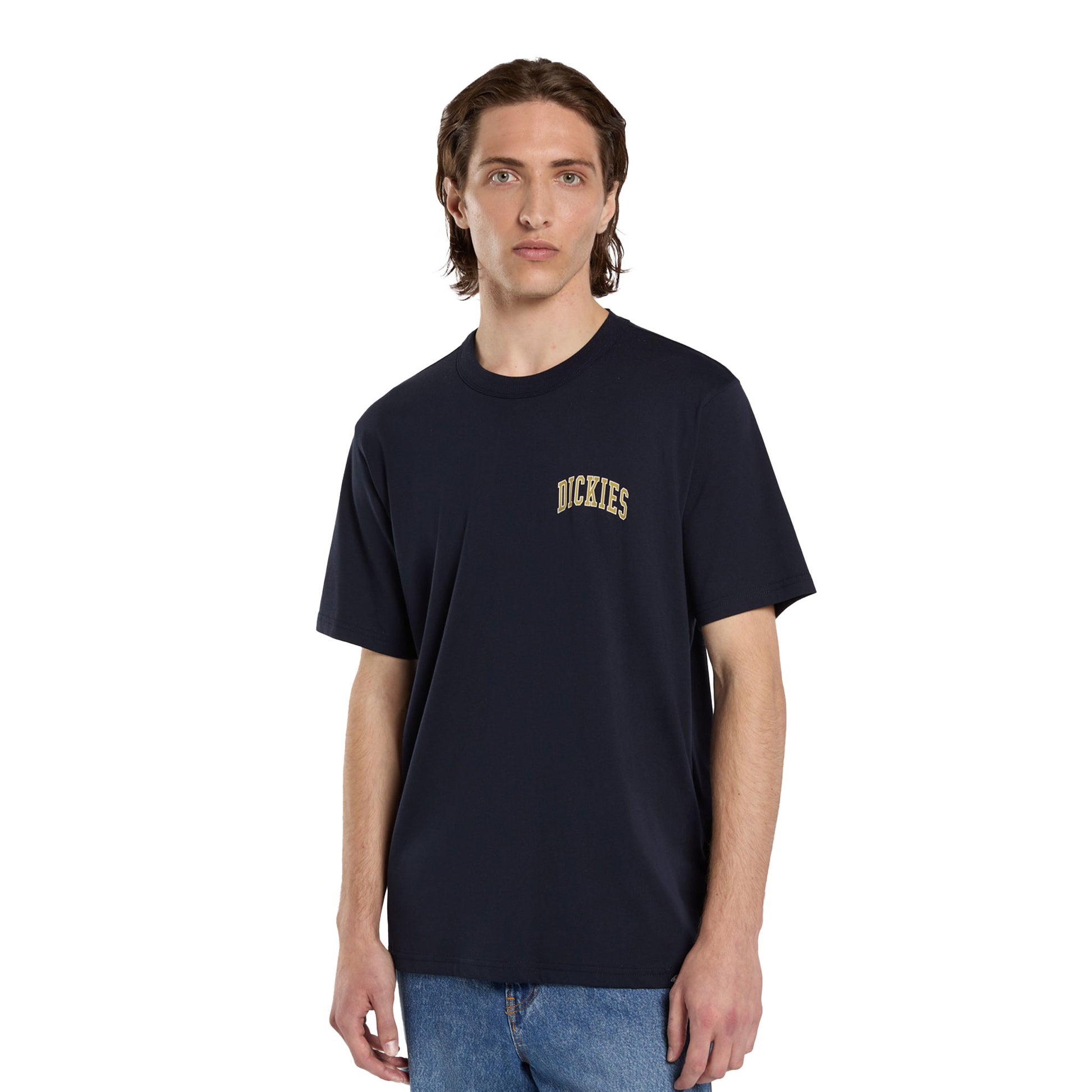 Dickies Aitkin Chest T-Shirt Night Sky  - DK0A4Y8OL18