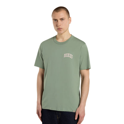 Dickies Aitkin Chest T-Shirt Sea Spray  - DK0A4Y8OL19