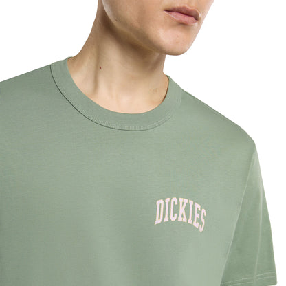 Dickies Aitkin Chest T-Shirt Sea Spray  - DK0A4Y8OL19