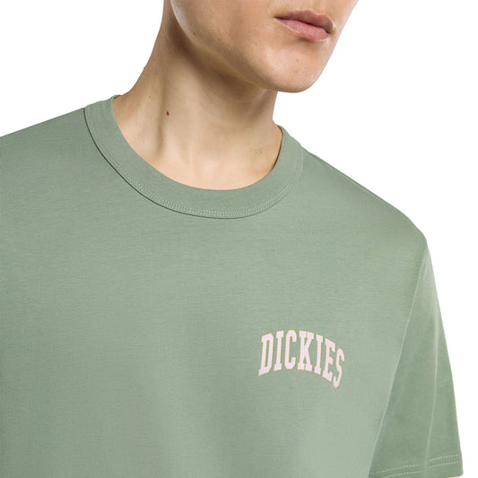 Dickies Aitkin Chest T-Shirt Sea Spray  - DK0A4Y8OL19