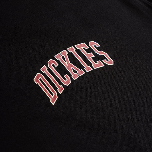 Dickies Aitkin Chest T-Shirt Black/Tibetan Red  - DK0A4Y8OL25