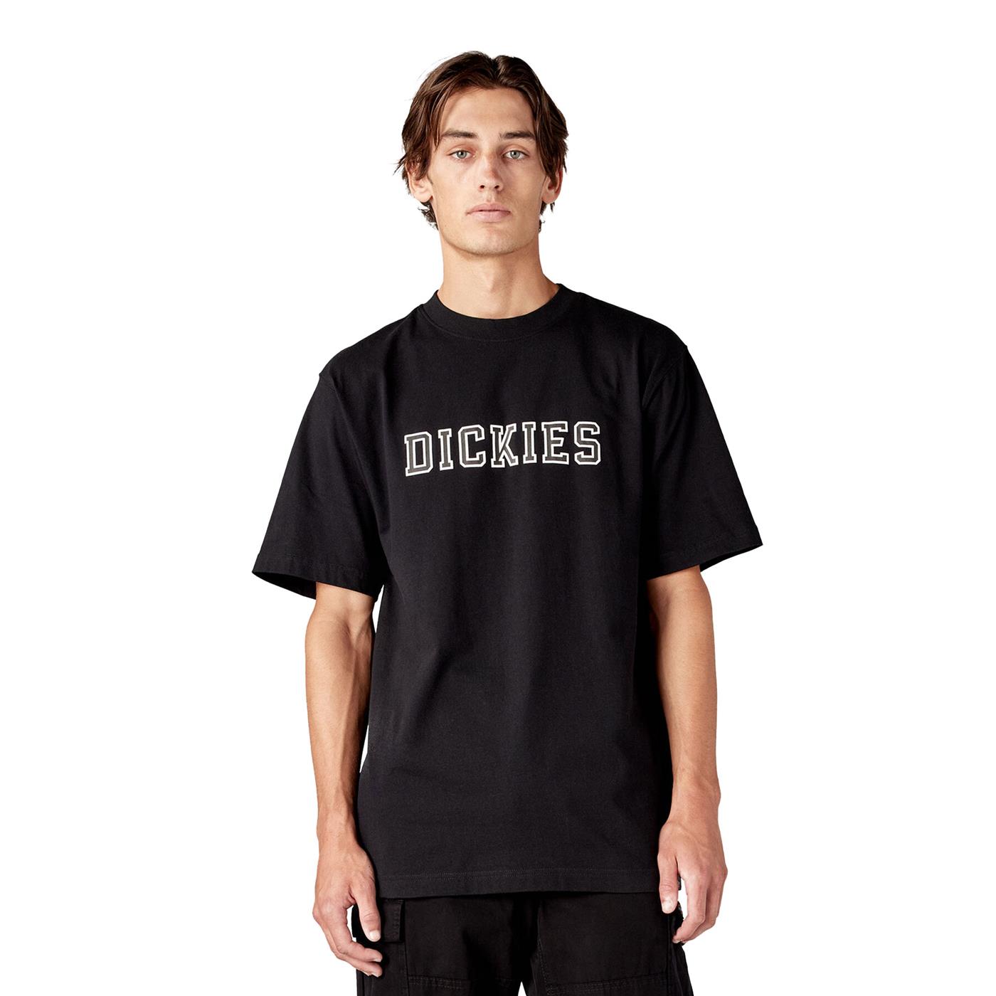 Dickies Melvern SS Tee Black  - DK0A4YK6BLK