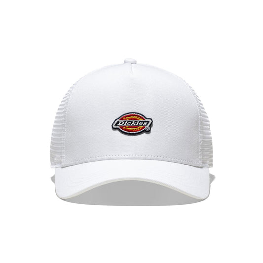 Dickies Hanston Trucker Cloud  - DK0A4YV3C58