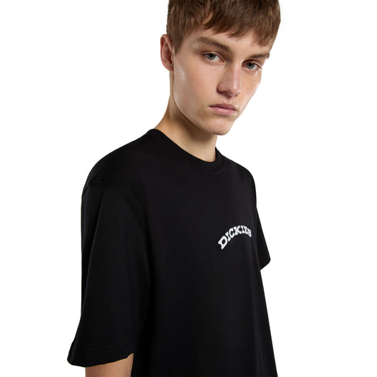 Dickies Outdoor SS Tee Black  - DK0A4Z8PBLK