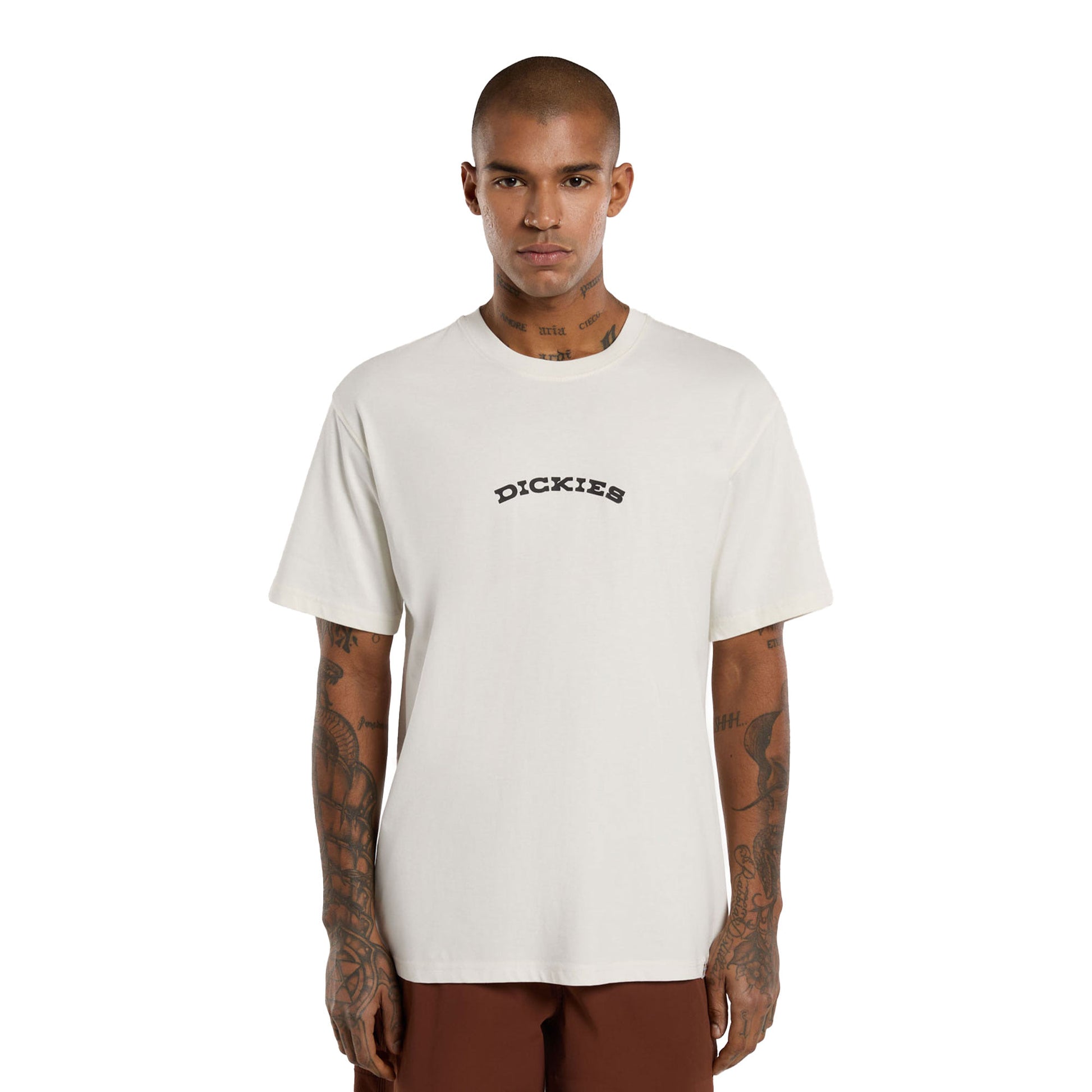 Dickies Outdoor SS Tee Egret  - DK0A4Z8PC48