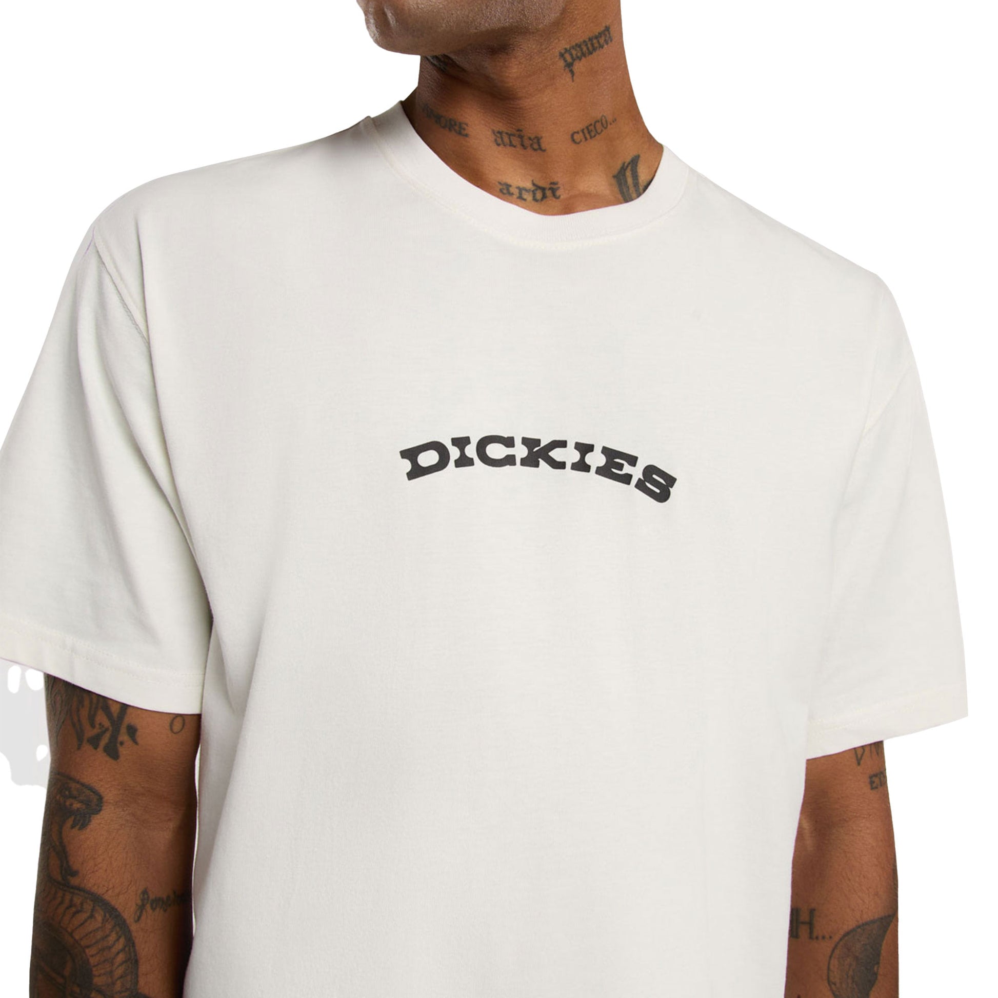 Dickies Outdoor SS Tee Egret  - DK0A4Z8PC48