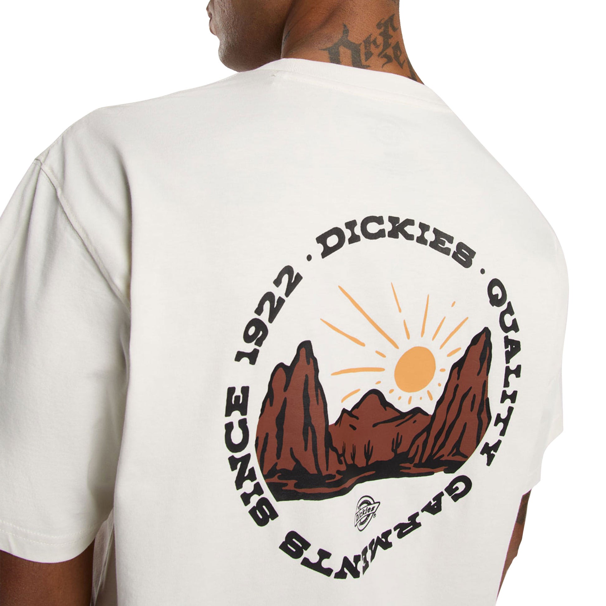 Dickies Outdoor SS Tee Egret  - DK0A4Z8PC48