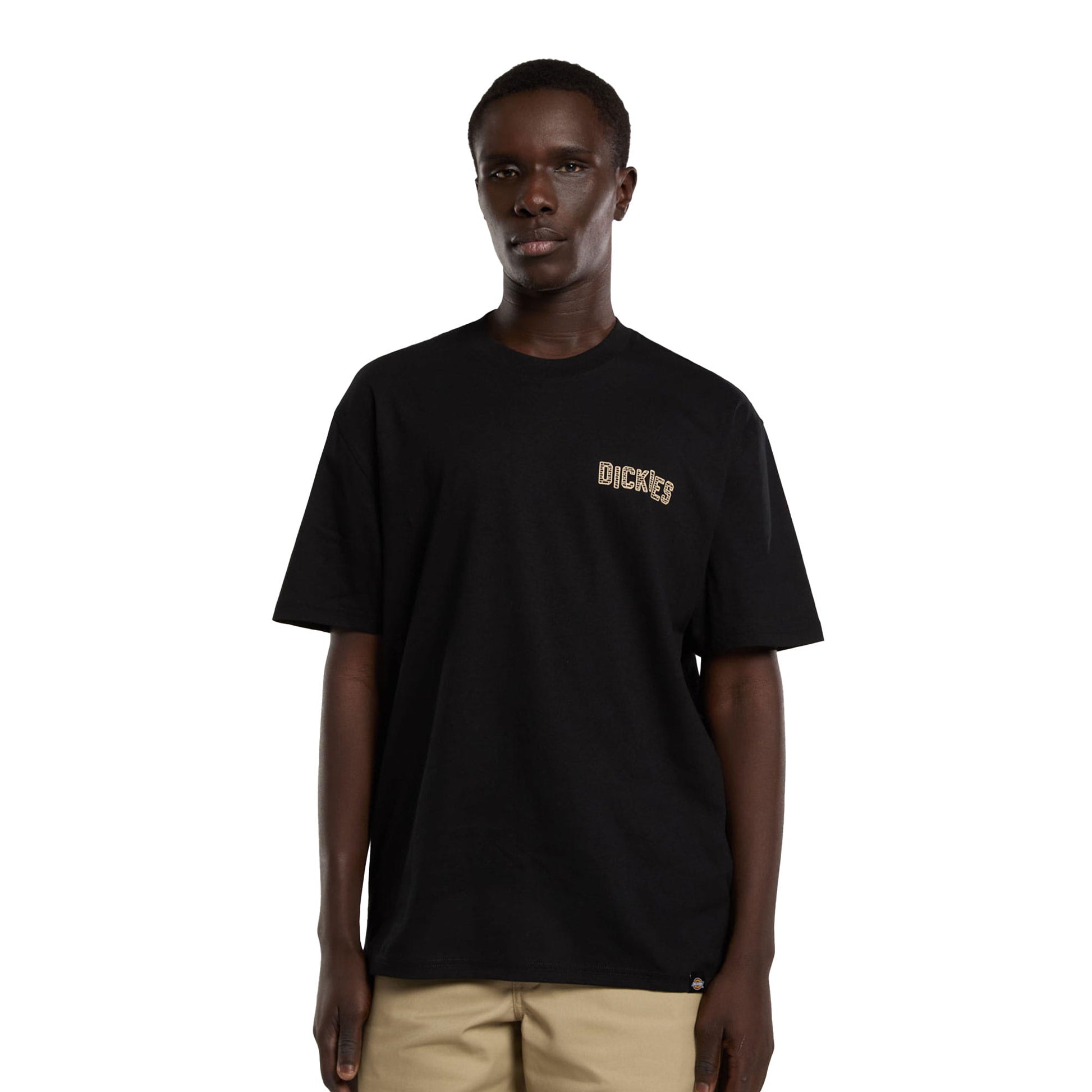 Dickies Bricklane SS Tee Black  - DK0A4Z8RBLK