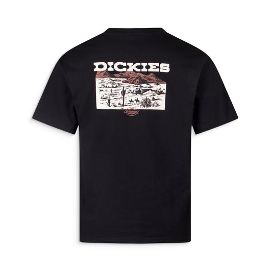 Dickies Landscape SS Tee Black  - DK0A4Z8VBLK