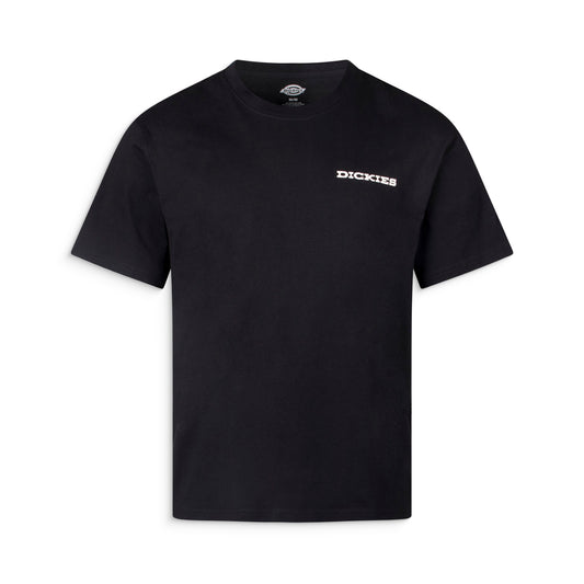 Dickies Landscape SS Tee Black  - DK0A4Z8VBLK