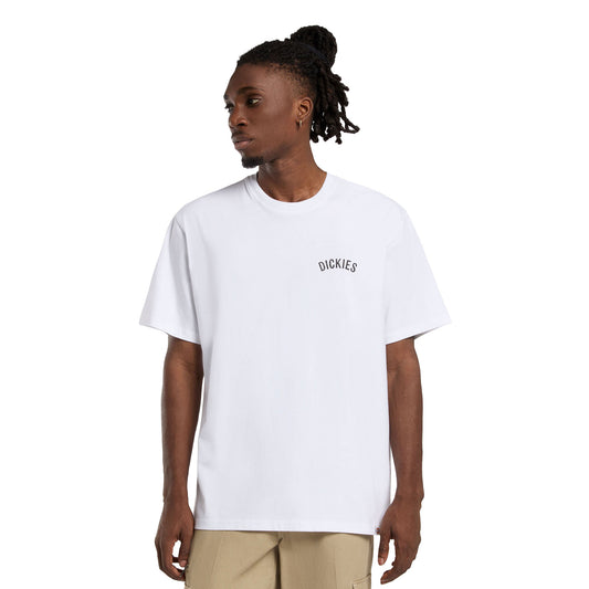 Dickies Snake SS Tee White  - DK0A4Z990WH
