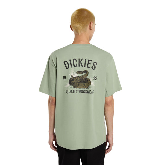 Dickies Snake SS Tee Iceberg Green  - DK0A4Z99K36