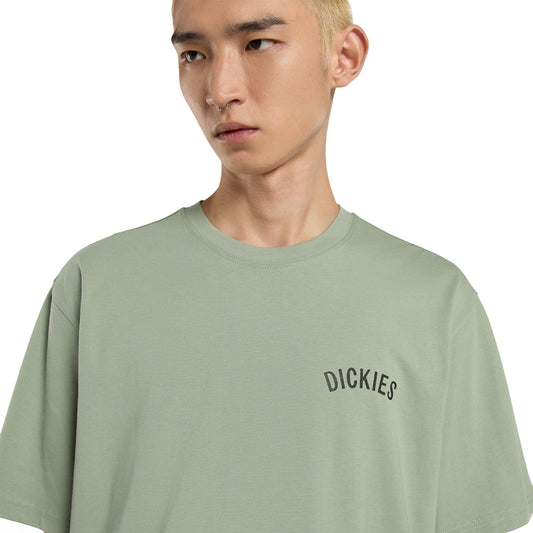 Dickies Snake SS Tee Iceberg Green  - DK0A4Z99K36