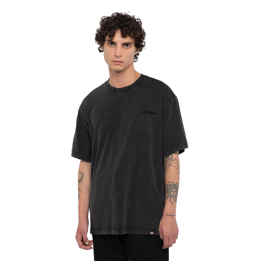 Dickies Plentywood SS Tee Double Dye/Acid Black  - DK0A866BH86