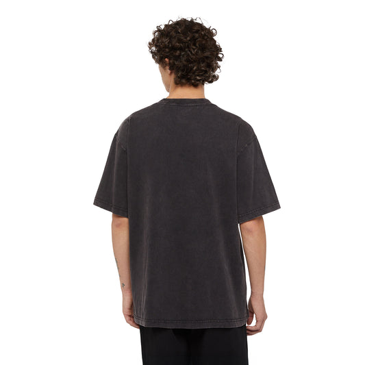 Dickies Plentywood SS Tee Double Dye/Acid Black  - DK0A866BH86