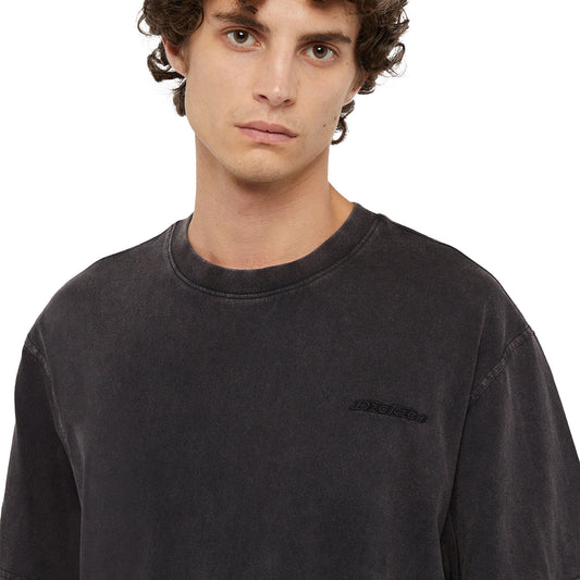 Dickies Plentywood SS Tee Double Dye/Acid Black  - DK0A866BH86