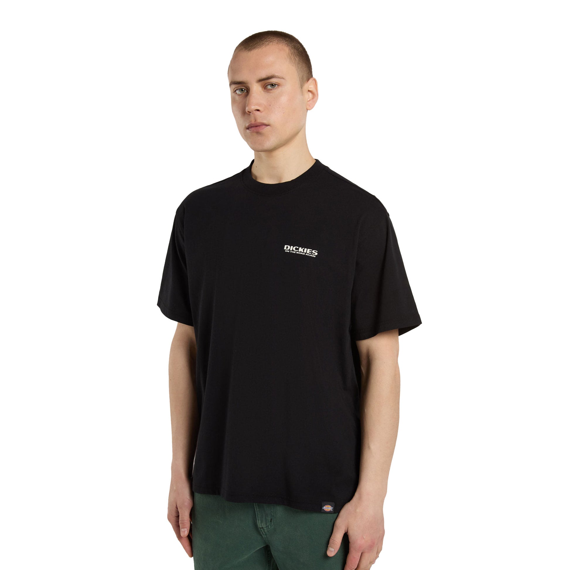 Dickies Burns SS Tee Black  - DK0A87QIBLK