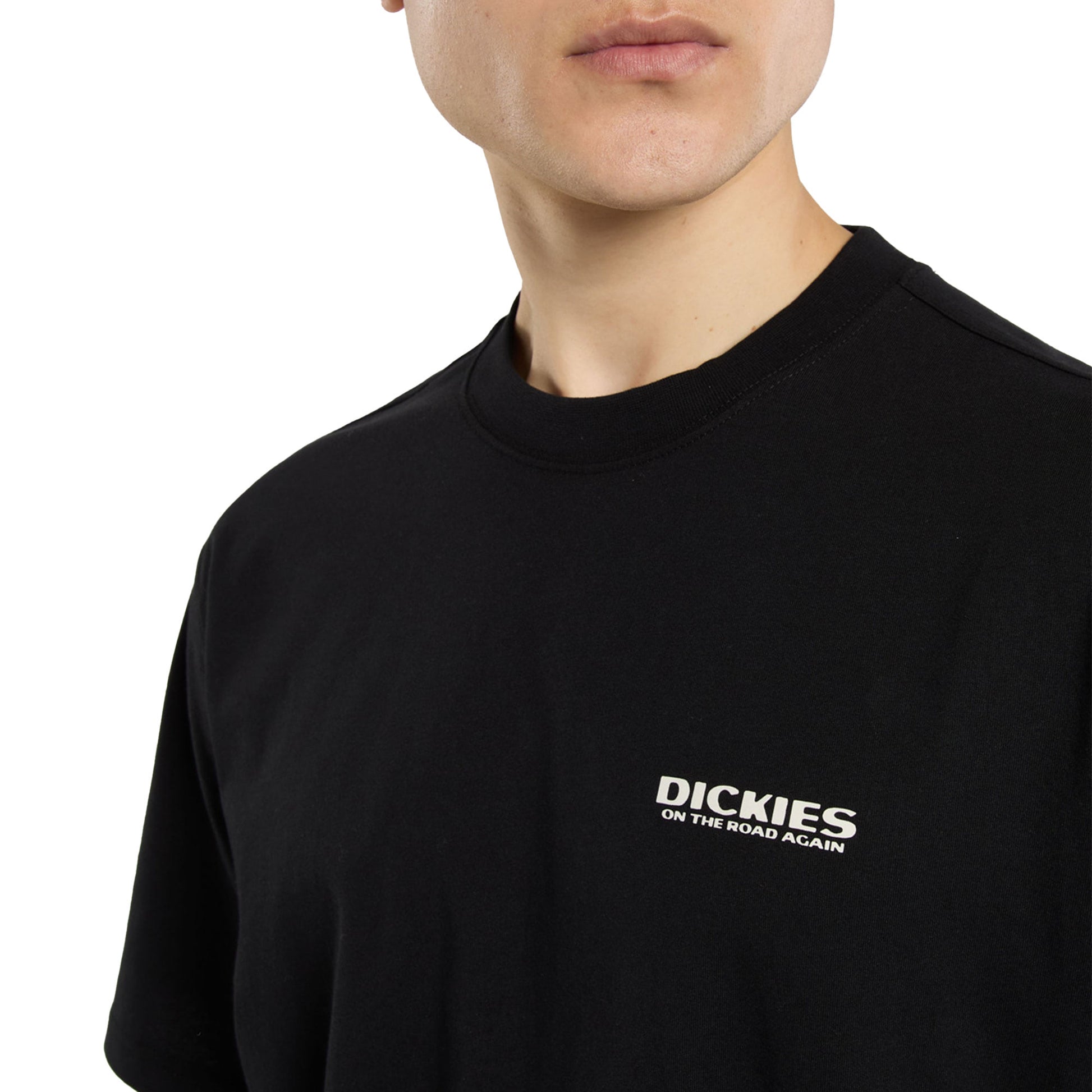 Dickies Burns SS Tee Black  - DK0A87QIBLK