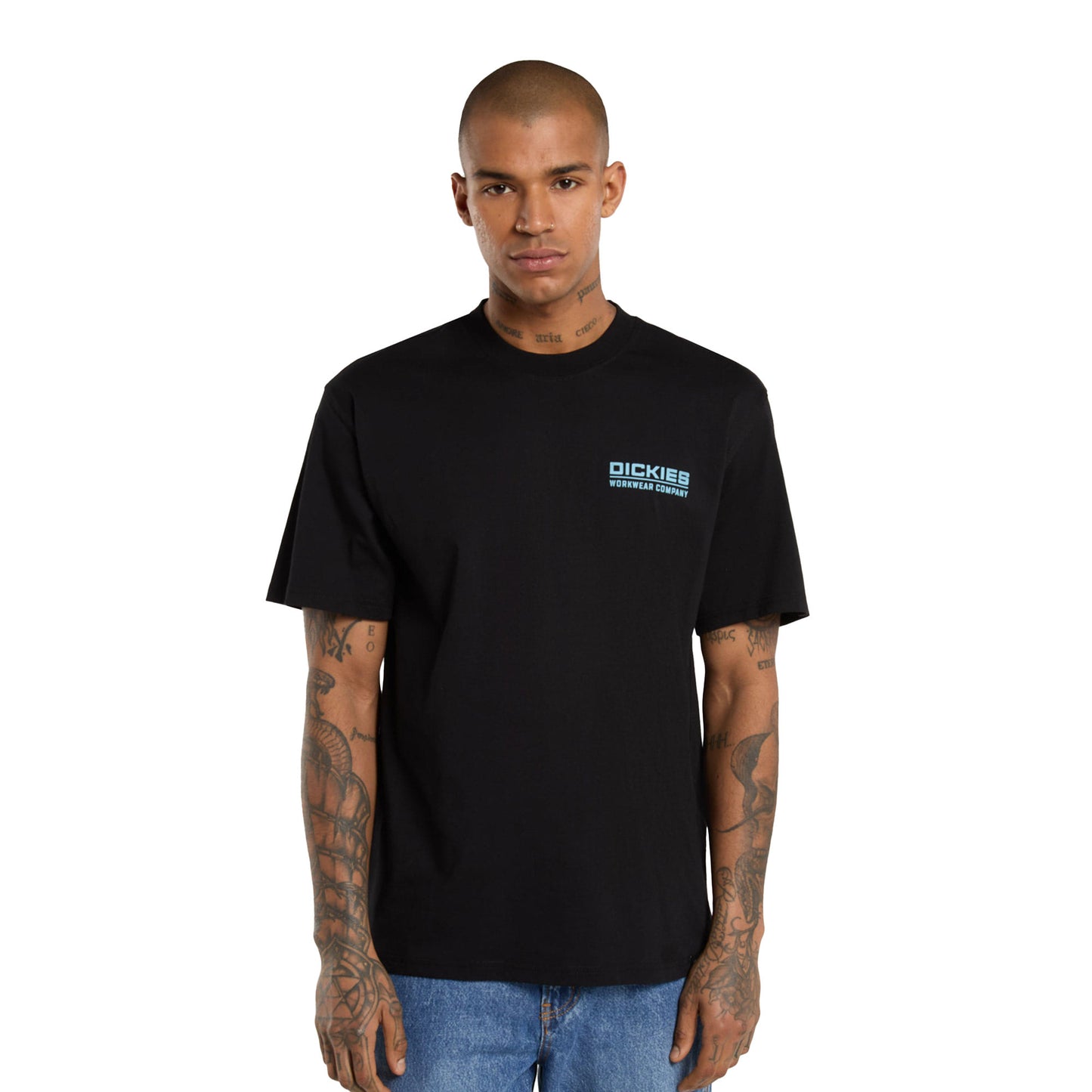 Dickies Bolivar SS Tee Black  - DK0A87QKBLK