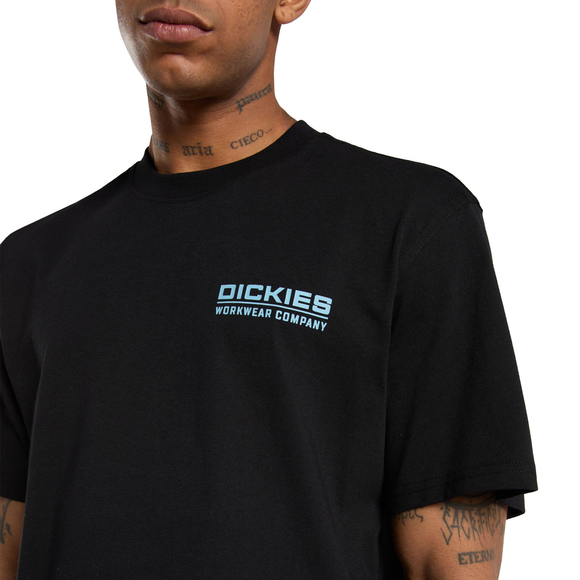 Dickies Bolivar SS Tee Black  - DK0A87QKBLK