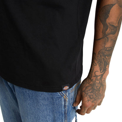 Dickies Bolivar SS Tee Black  - DK0A87QKBLK