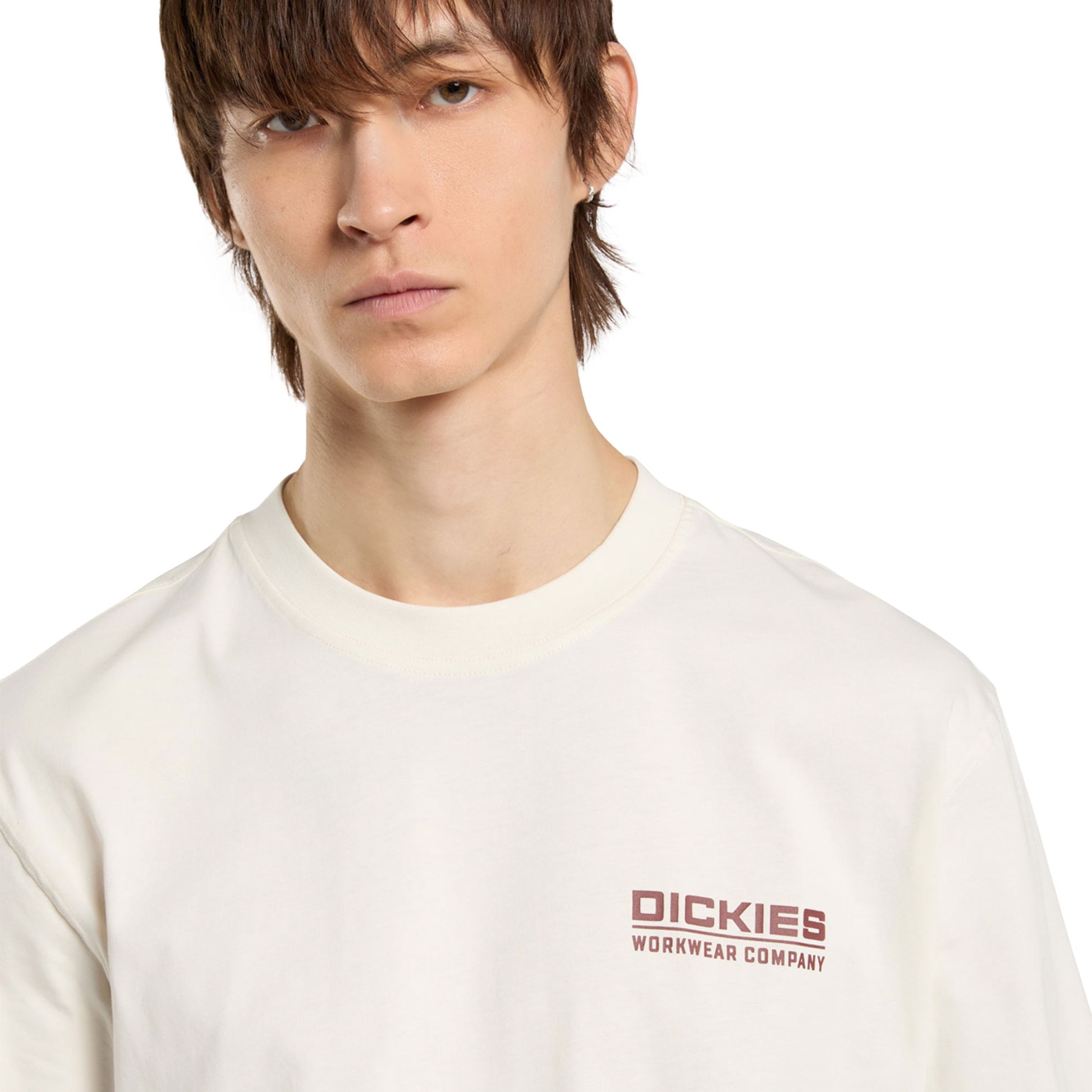 Dickies Bolivar SS Tee Egret  - DK0A87QKC48