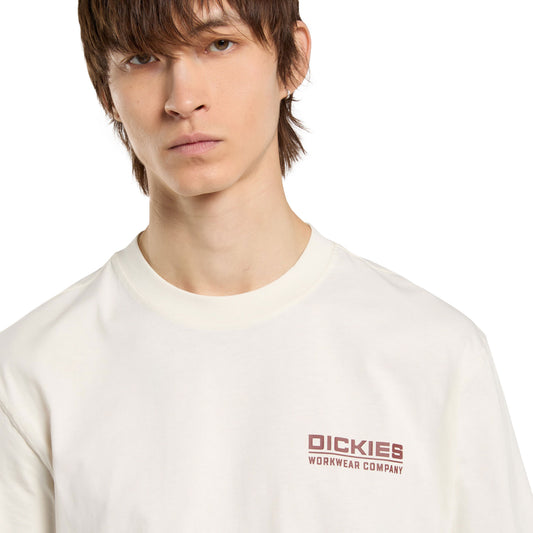 Dickies Bolivar SS Tee Egret  - DK0A87QKC48