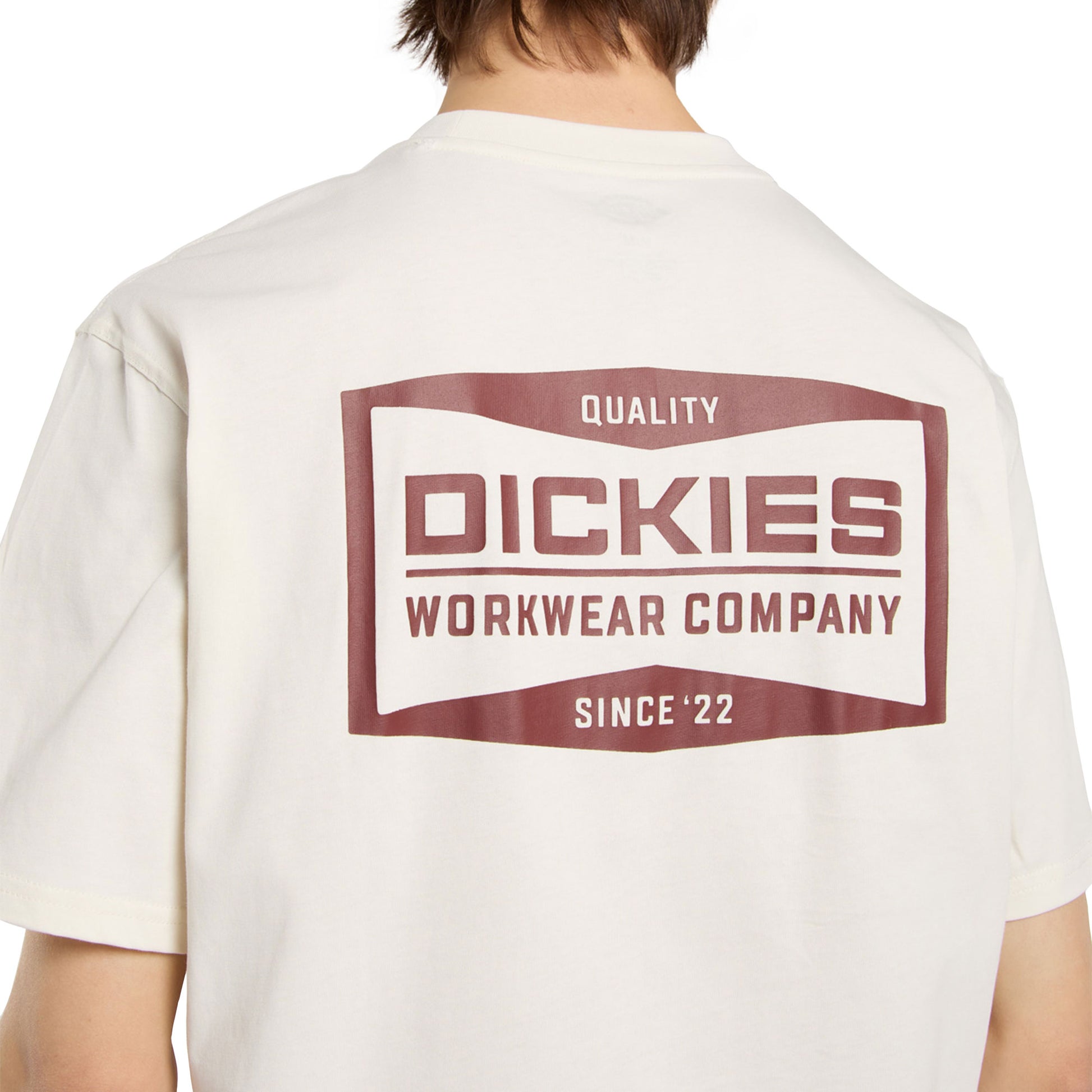 Dickies Bolivar SS Tee Egret  - DK0A87QKC48
