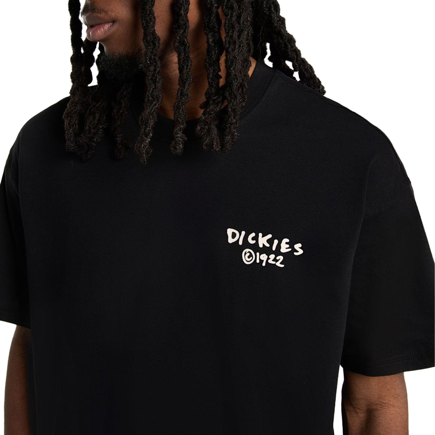 Dickies Sneedville SS Tee Black