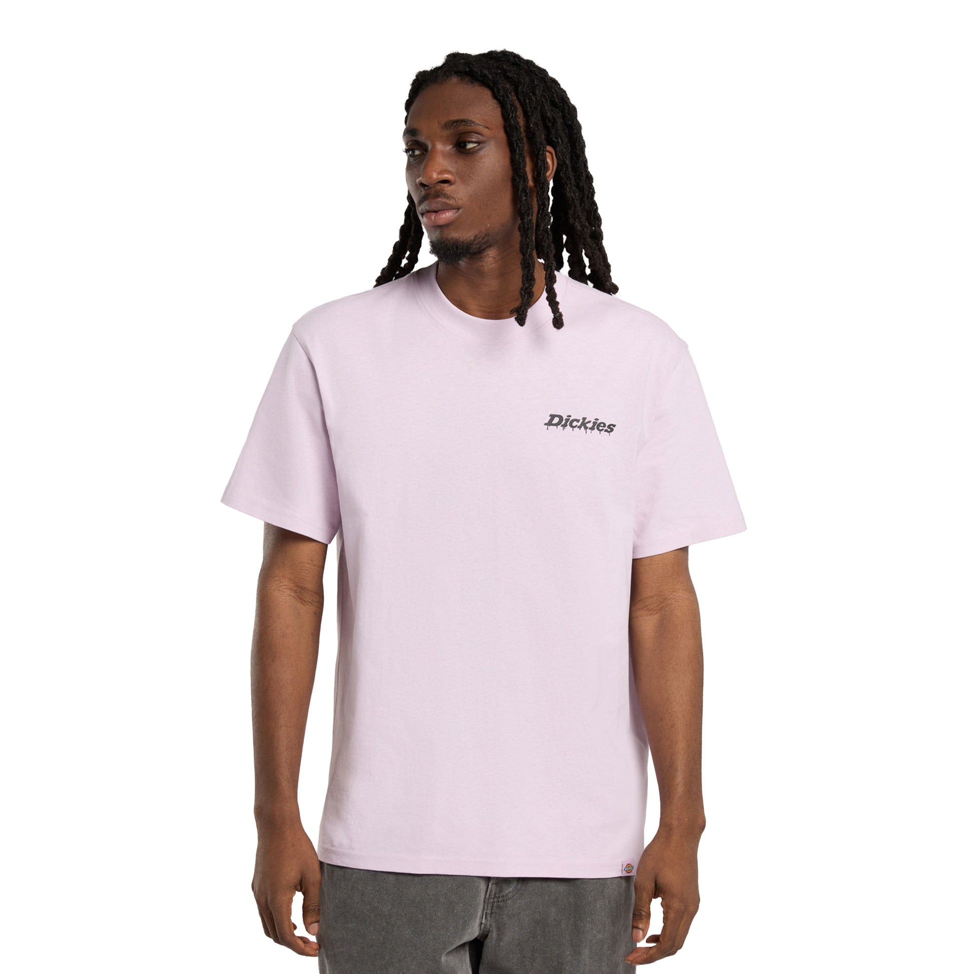 Dickies Statesville SS Tee Winsome Orchid  - DK0A87QPK73