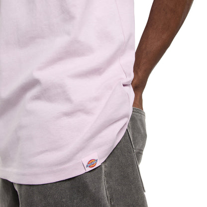Dickies Statesville SS Tee Winsome Orchid  - DK0A87QPK73