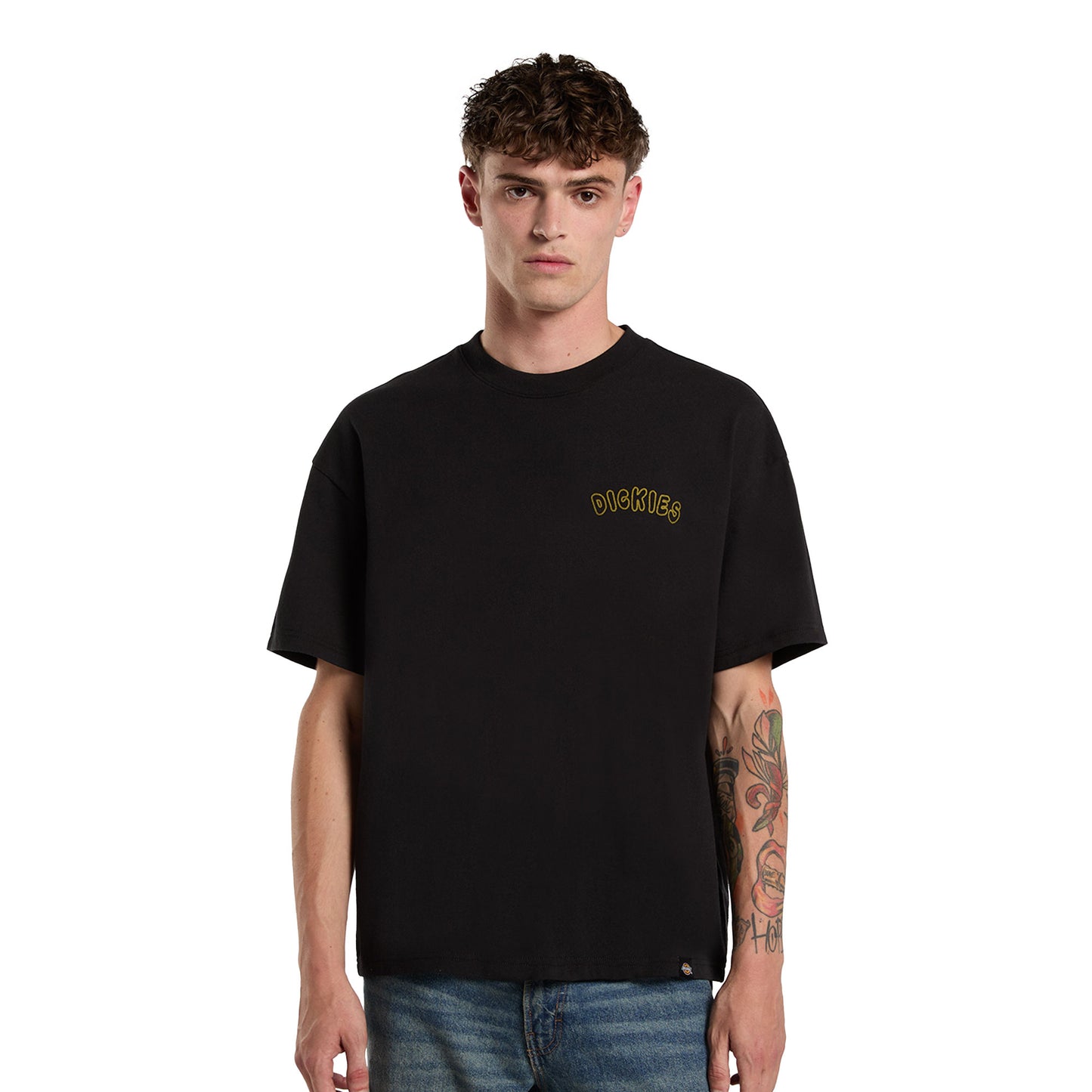 Dickies Decartuville SS Tee Black  - DK0A87QTBLK