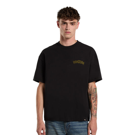Dickies Decartuville SS Tee Black  - DK0A87QTBLK