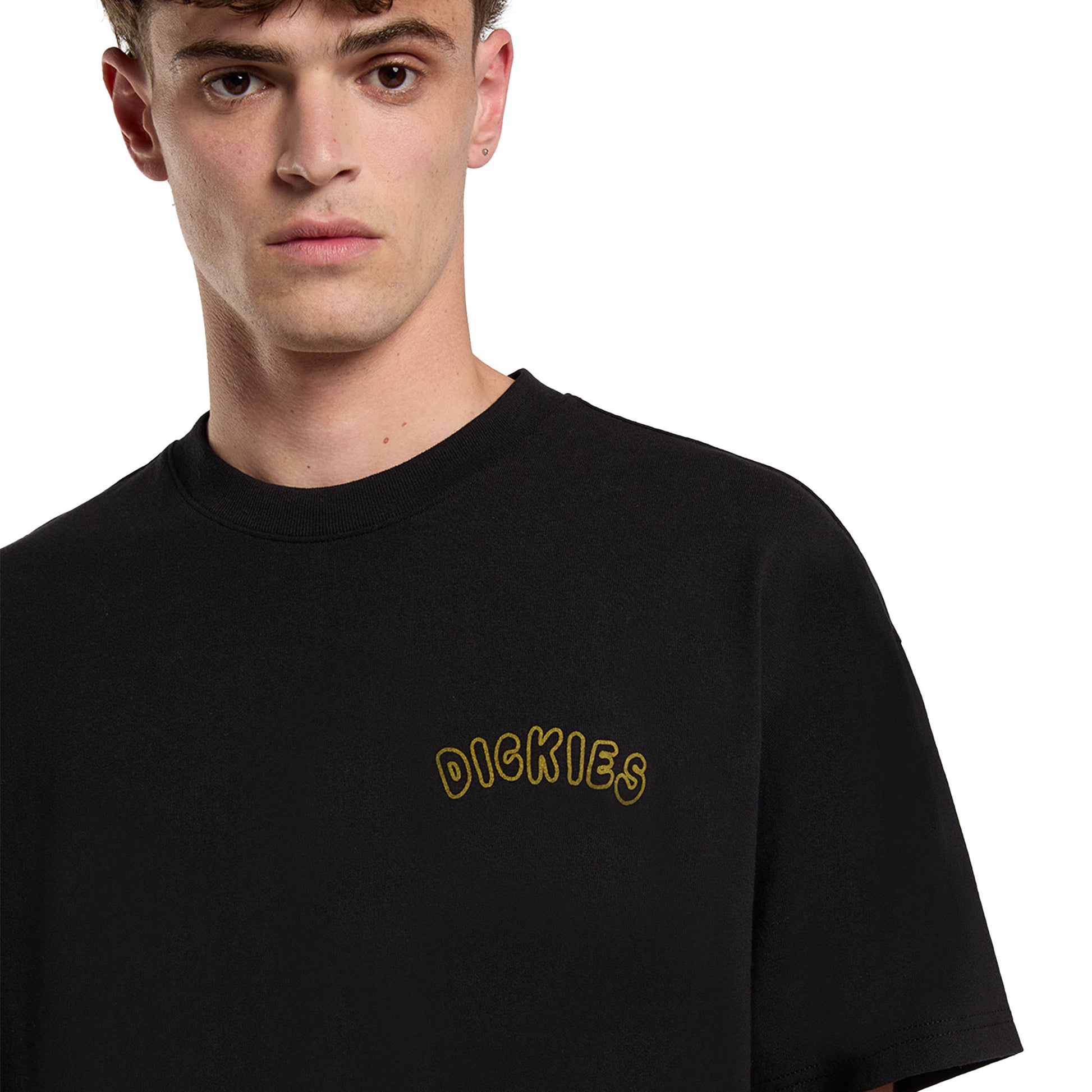 Dickies Decartuville SS Tee Black  - DK0A87QTBLK
