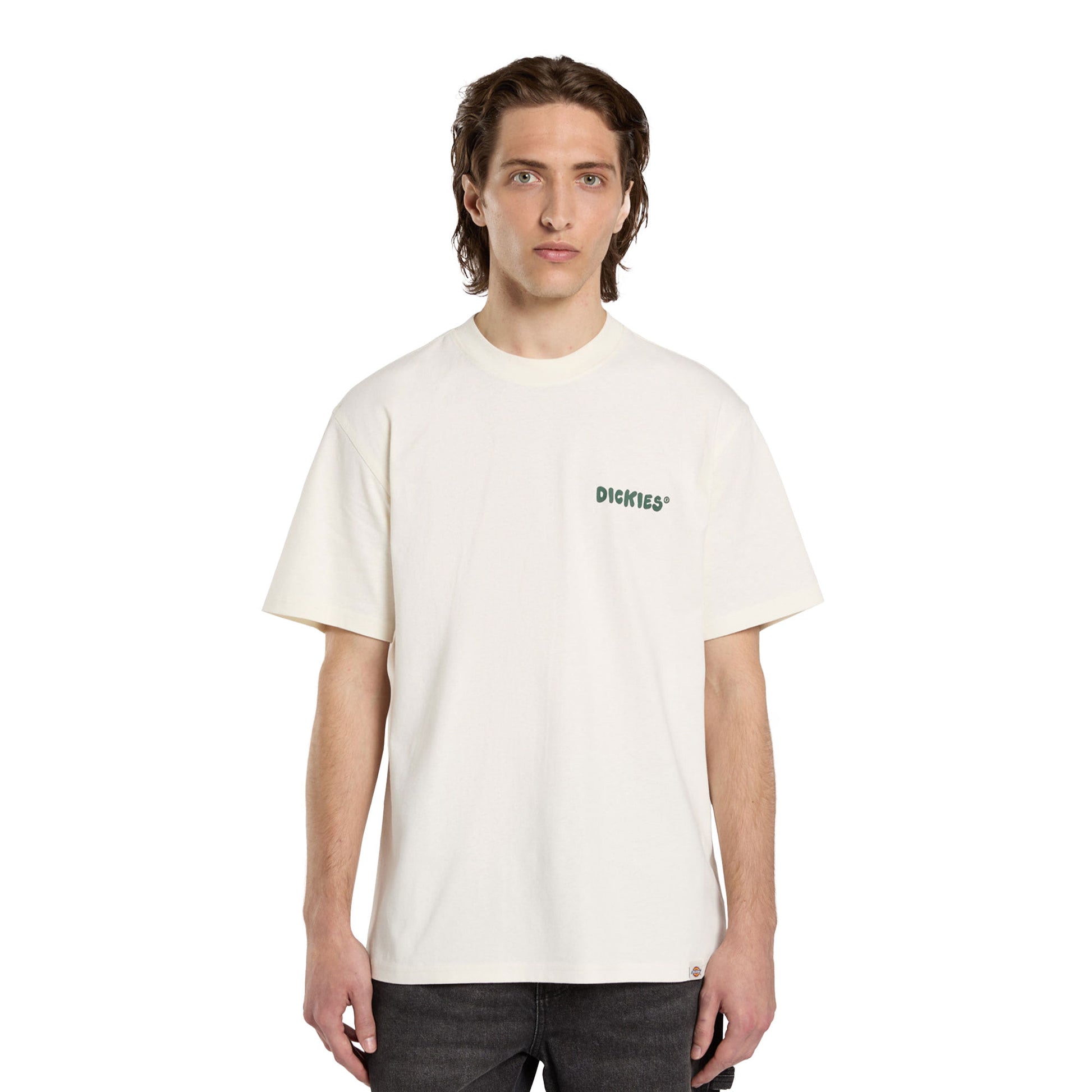 Dickies Gordonsville SS Tee Egret  - DK0A87QUC48