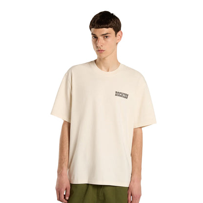 Dickies Buchtell SS Tee Egret  - DK0A883BC48